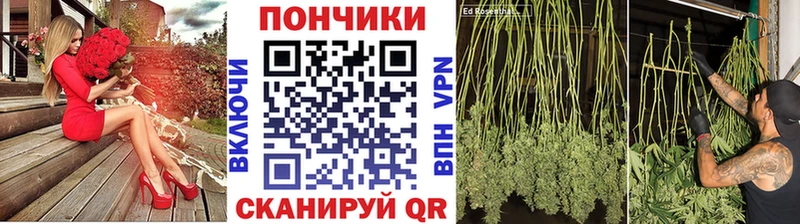 Каннабис индика  продажа наркотиков  мега   Усолье-Сибирское 